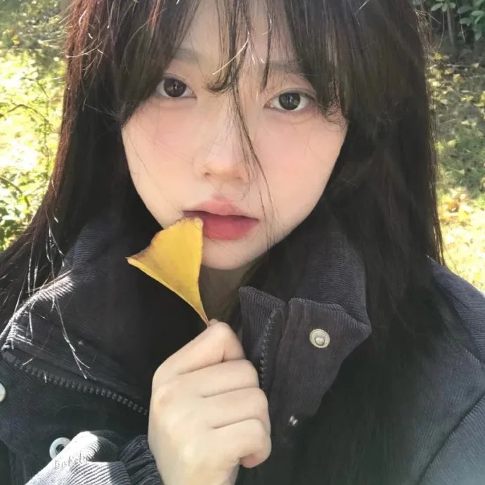 血染两山红